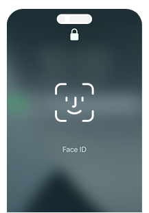 Face / Touch ID Doesn’t Work
