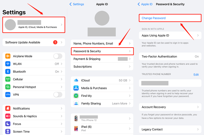Change Apple ID Password on iPad