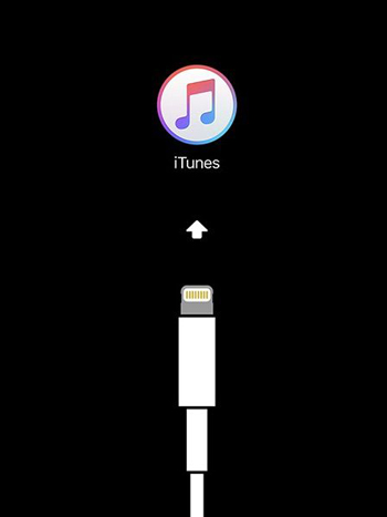 Connecter à iTunes