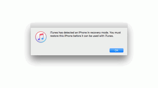 iTunes Detects Reocvery Mode