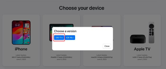 Choose iOS 17.x on IPSW Beta Download Website