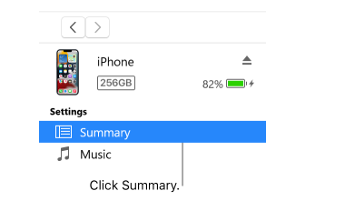 Click Summary in iTunes