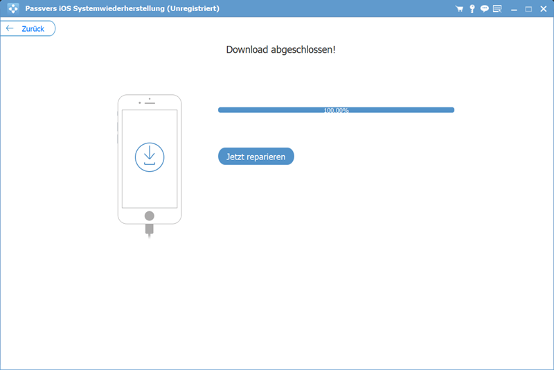 Download abgeschlossen auf Passvers iOS Systemwiederherstellung