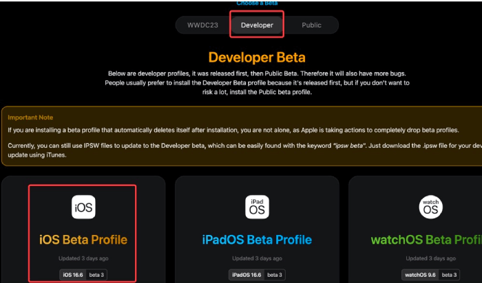 Download iOS16.6 Beta Profile