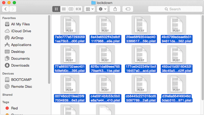 Delete Items in Lockdown Folder on Mac