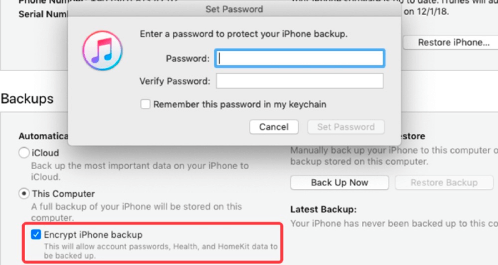 Set an iTunes Encryption Backup Password