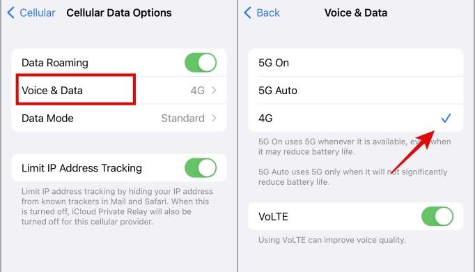 Switch Cellular Data Options