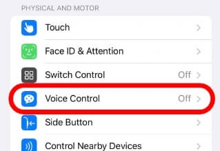 Unlock iPad Voice Control