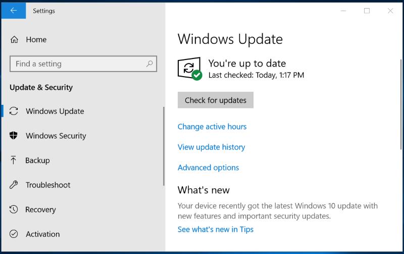 Update Windows System